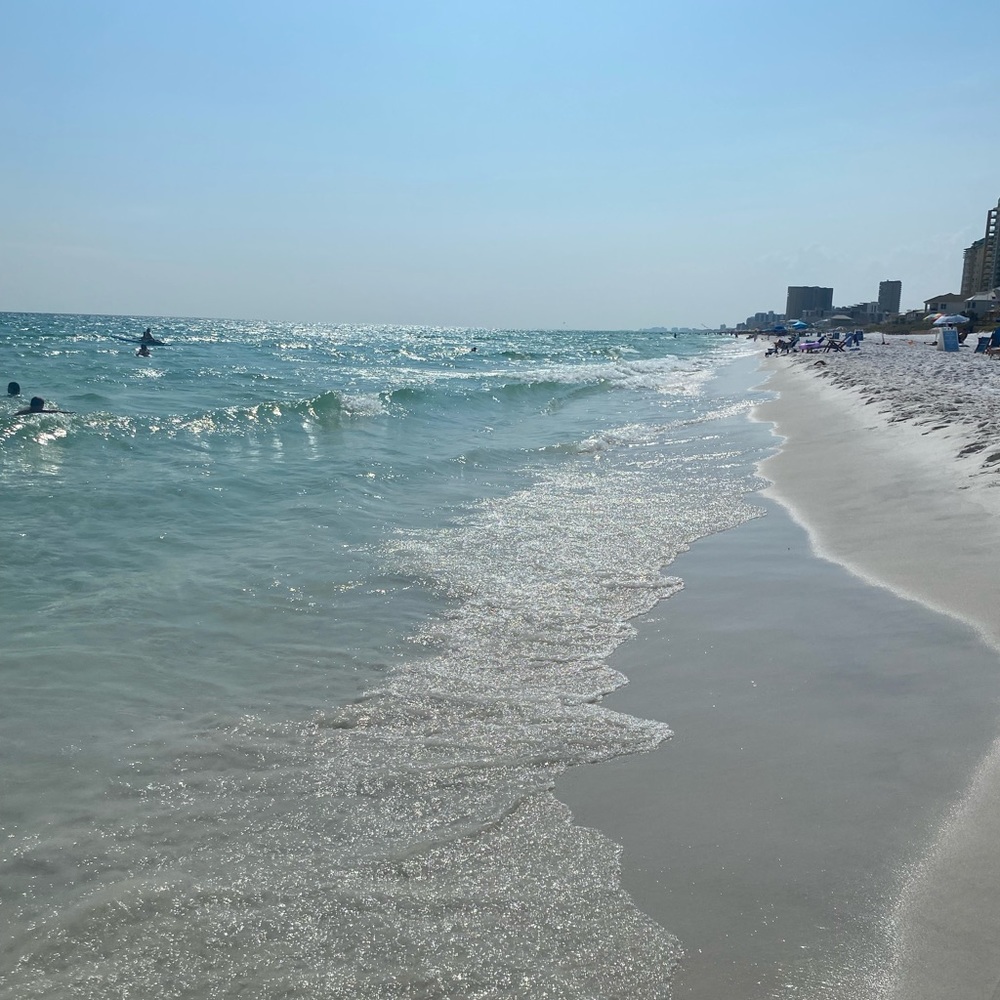 Meet your Posher, Adrianna